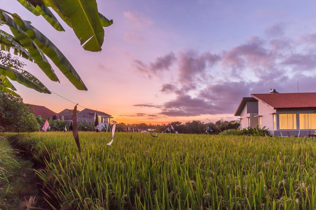 Charming Ricefield View 3 Bedrooms Villa チャングー エクステリア 写真